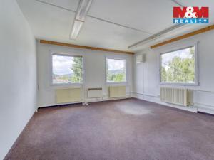Pronájem kanceláře, Sušice - Sušice II, V Drahelinkách, 16 m2