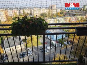 Pronájem bytu 1+kk, Ostrava - Moravská Ostrava, Lechowiczova, 29 m2