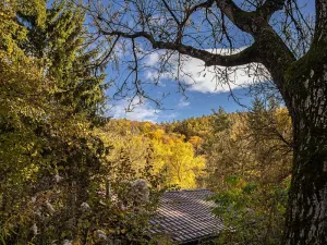 Prodej chaty, Heroltice, 40 m2