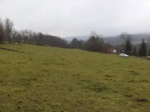 Dražba pole, Lovečkovice, 21494 m2