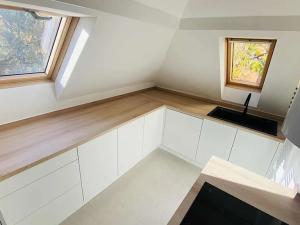 Pronájem bytu 4+kk, Brno, Libušino údolí, 160 m2