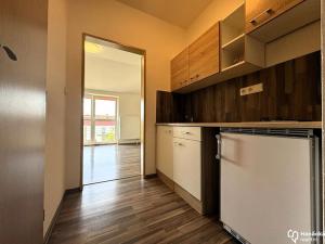 Pronájem bytu 1+kk, Olomouc, Schweitzerova, 24 m2