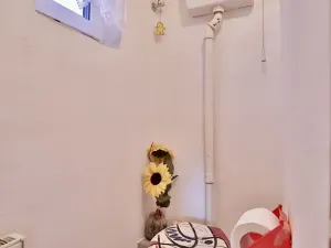 Prodej rodinného domu, Lázně Toušeň, Hlavní, 107 m2