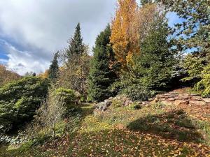 Prodej chaty, Bradlecká Lhota, 62 m2