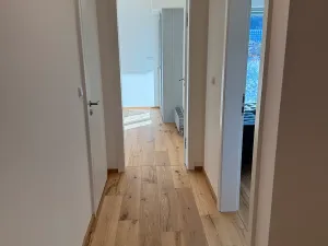 Pronájem bytu 2+kk, Brno, Hlinky, 44 m2