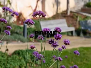 Pronájem bytu 2+kk, Praha - Smíchov, Holečkova, 79 m2