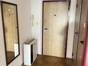 Prodej bytu 1+kk, Ostrava, Gen. Píky, 29 m2