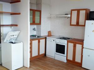 Pronájem bytu 1+1, Most, Růžová, 33 m2