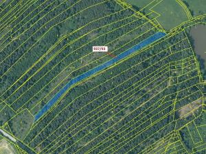 Dražba lesa, Netřebice, 8502 m2