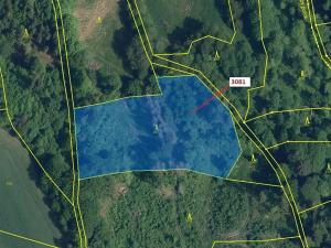 Dražba lesa, Benešov u Semil, 6213 m2