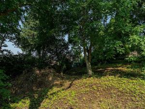 Prodej pozemku pro bydlení, Choceň, Tocháčkův kopec, 1926 m2