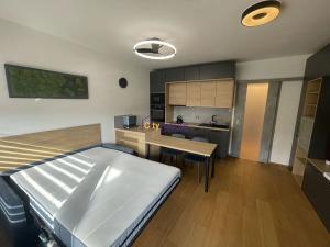 Pronájem bytu 1+kk, Praha - Modřany, Písková, 28 m2