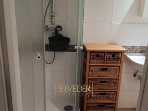 Pronájem bytu 1+kk, Teplice, Rokle, 34 m2