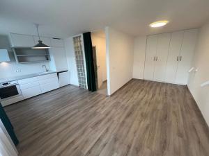 Pronájem bytu 1+kk, Praha - Krč, Murgašova, 42 m2