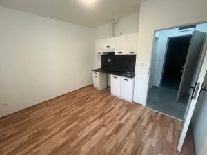 Pronájem bytu 1+kk, Praha - Břevnov, Na břevnovské pláni, 17 m2