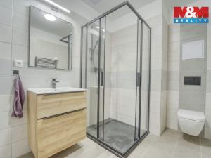 Pronájem bytu 2+kk, Plzeň - Újezd, Rubínová, 56 m2
