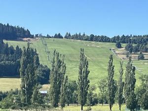 Prodej pozemku pro bydlení, Jeřmanice, Sněhová, 1506 m2