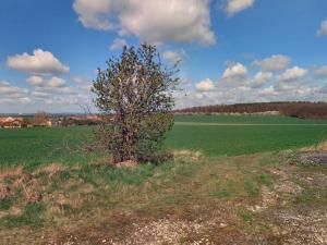 Prodej pole, Lovčice, 205582 m2