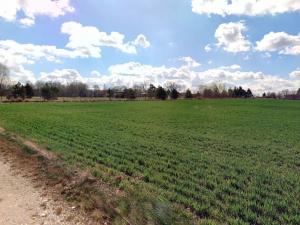 Prodej pole, Lovčice, 205582 m2