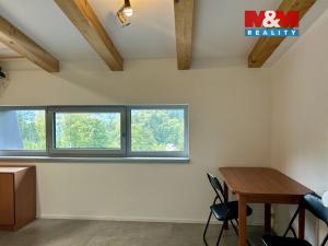 Pronájem bytu 1+kk, Janov nad Nisou, 25 m2
