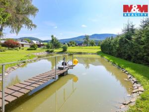 Prodej pozemku pro bydlení, Loučná nad Desnou - Kociánov, 8815 m2