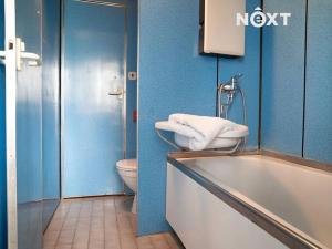 Prodej bytu 2+1, Třeboň, Hliník, 58 m2