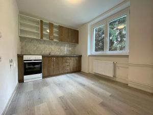 Pronájem bytu 1+1, Litvínov, Horská, 42 m2