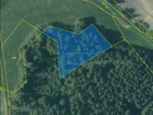 Prodej lesa, Nová Bystřice, 2801 m2
