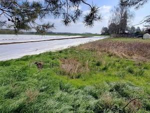 Prodej pozemku pro bydlení, Sadská, 1267 m2