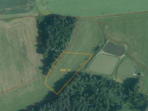 Dražba louky, Hospříz, 7435 m2