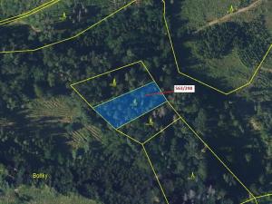 Dražba lesa, Spešov, 1372 m2