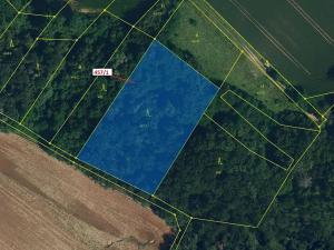 Dražba lesa, Přešovice, 4115 m2