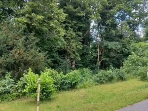 Dražba pozemku, Děčín, 2255 m2