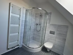 Pronájem bytu 1+kk, Český Těšín, Husova, 42 m2