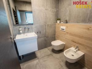 Prodej rodinného domu, Svinošice, 239 m2