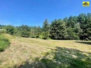 Prodej pozemku pro bydlení, Soběslav, 4703 m2