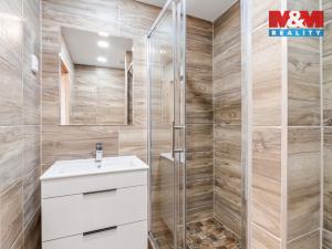 Prodej bytu 2+kk, Teplice - Trnovany, Trnovanská, 43 m2