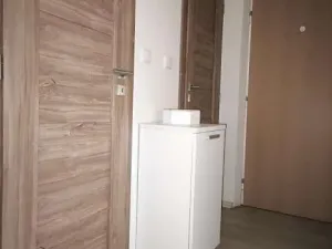 Pronájem bytu 2+1, Most, Zdeňka Fibicha, 56 m2