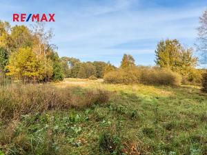 Prodej pozemku pro bydlení, Rybniště, 13261 m2