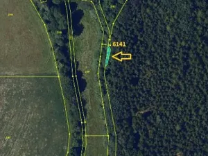 Prodej lesa, Tis, 906 m2