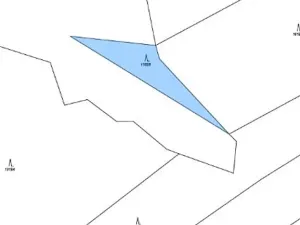 Prodej lesa, Tis, 974 m2