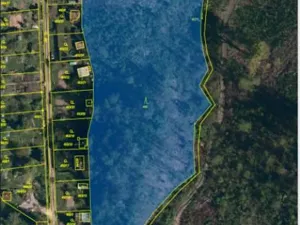 Prodej podílu lesa, Jihlava, 11793 m2