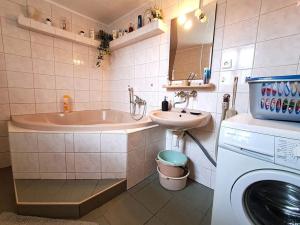 Prodej chalupy, Vysoké Veselí, 290 m2