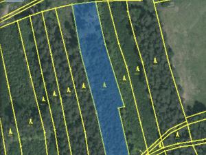 Prodej lesa, Blížejov - Lštění, 4152 m2