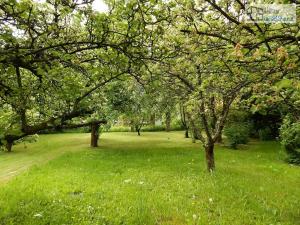 Prodej rodinného domu, Supíkovice, 130 m2