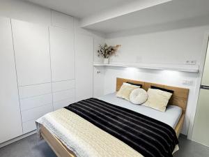 Pronájem bytu 2+kk, Pardubice, Na Třísle, 51 m2