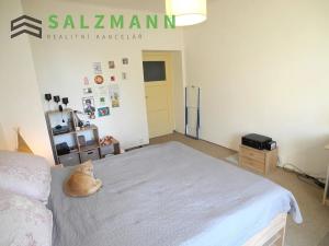 Prodej bytu 2+kk, Plzeň, náměstí Míru, 42 m2