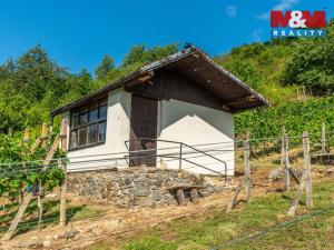 Prodej pozemku pro bydlení, Viničné Šumice, 3276 m2