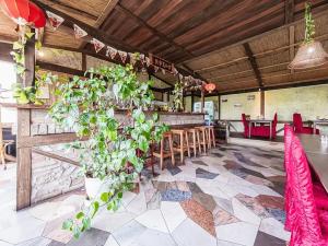 Prodej restaurace, Louny, Mírové náměstí, 108 m2