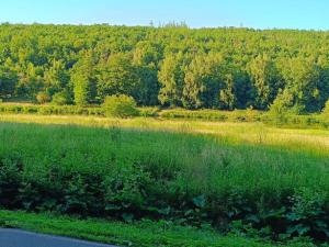 Prodej louky, Nižbor - Žloukovice, 1665 m2